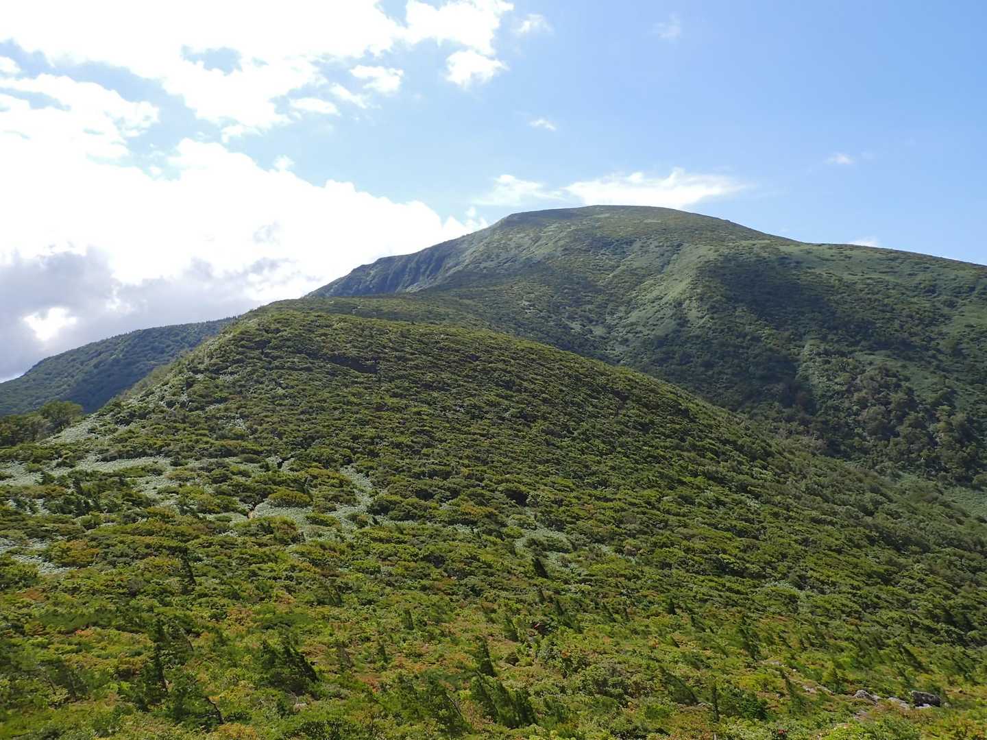 箕輪山
こう見ると大きい山です
鬼面山から一旦下ってこの尾根を登り返します。
ツルツル路面でした😅