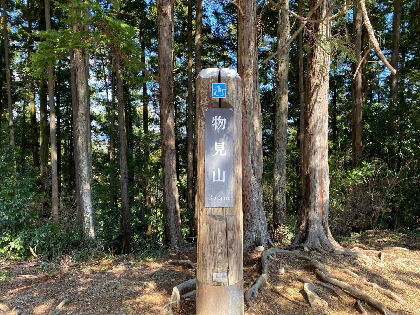 次いで、物見山