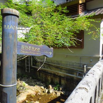 ここから大日越