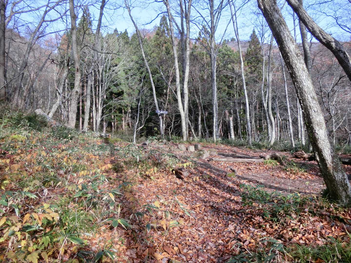 立石沢ひろば。山中の平らで広いとこは大昔は何か建ってたのかな？とこの頃思う。