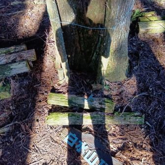 風ですかね？標識が壊れてた…。