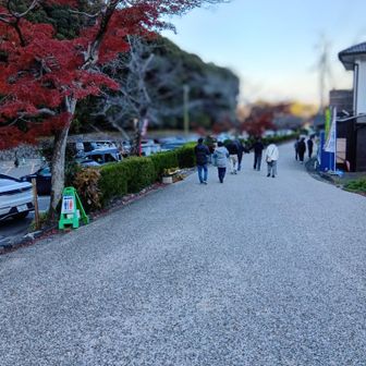 賑わう養老公園も存分に楽しめました