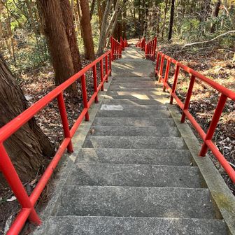 階段の中ほどから下を