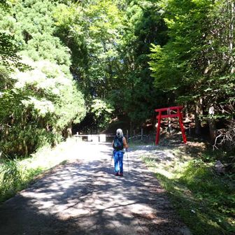 1年ぶりの尺間神社鳥居ゲート。
手前に先客が1台。