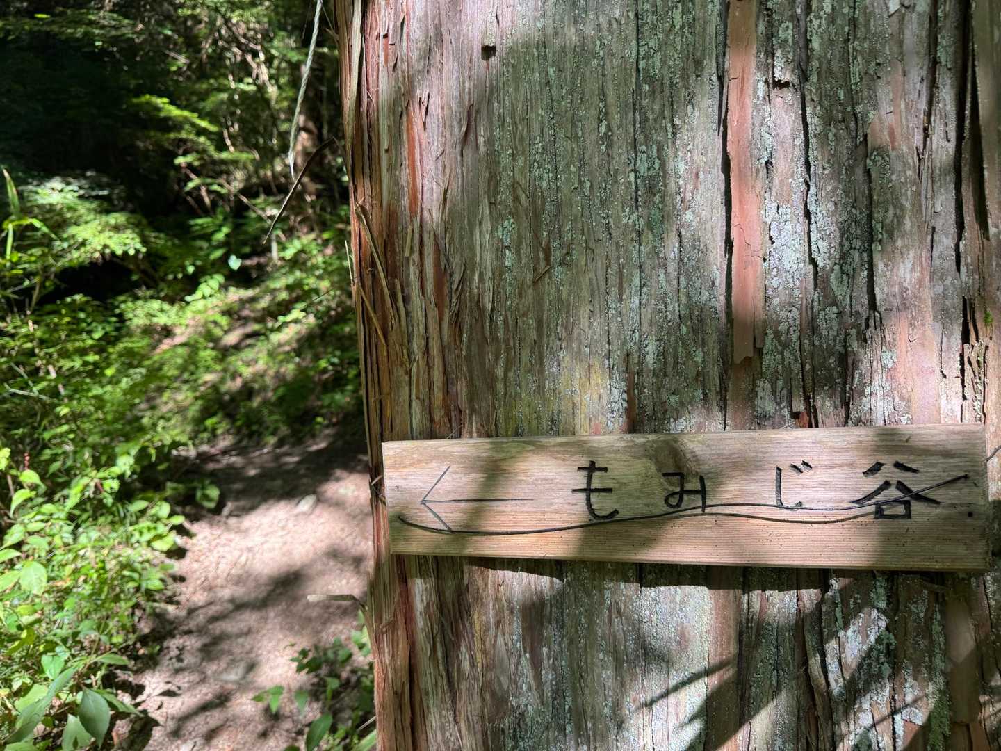 ルート沢山あるけどほぼここばっか。