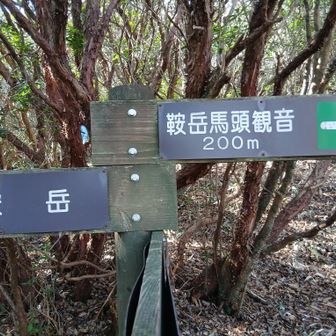 馬頭観音に寄ります。
鞍だから馬頭🤭🤭