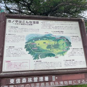 見応え十分の散策コースでした♪