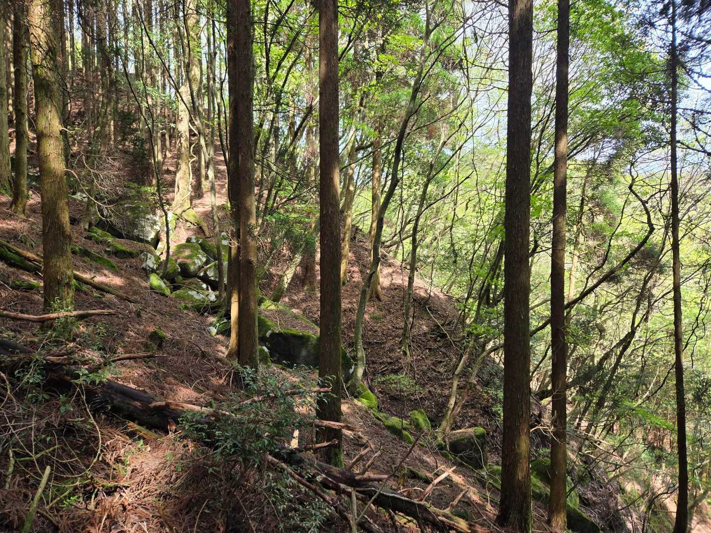 お天気も最高👍️