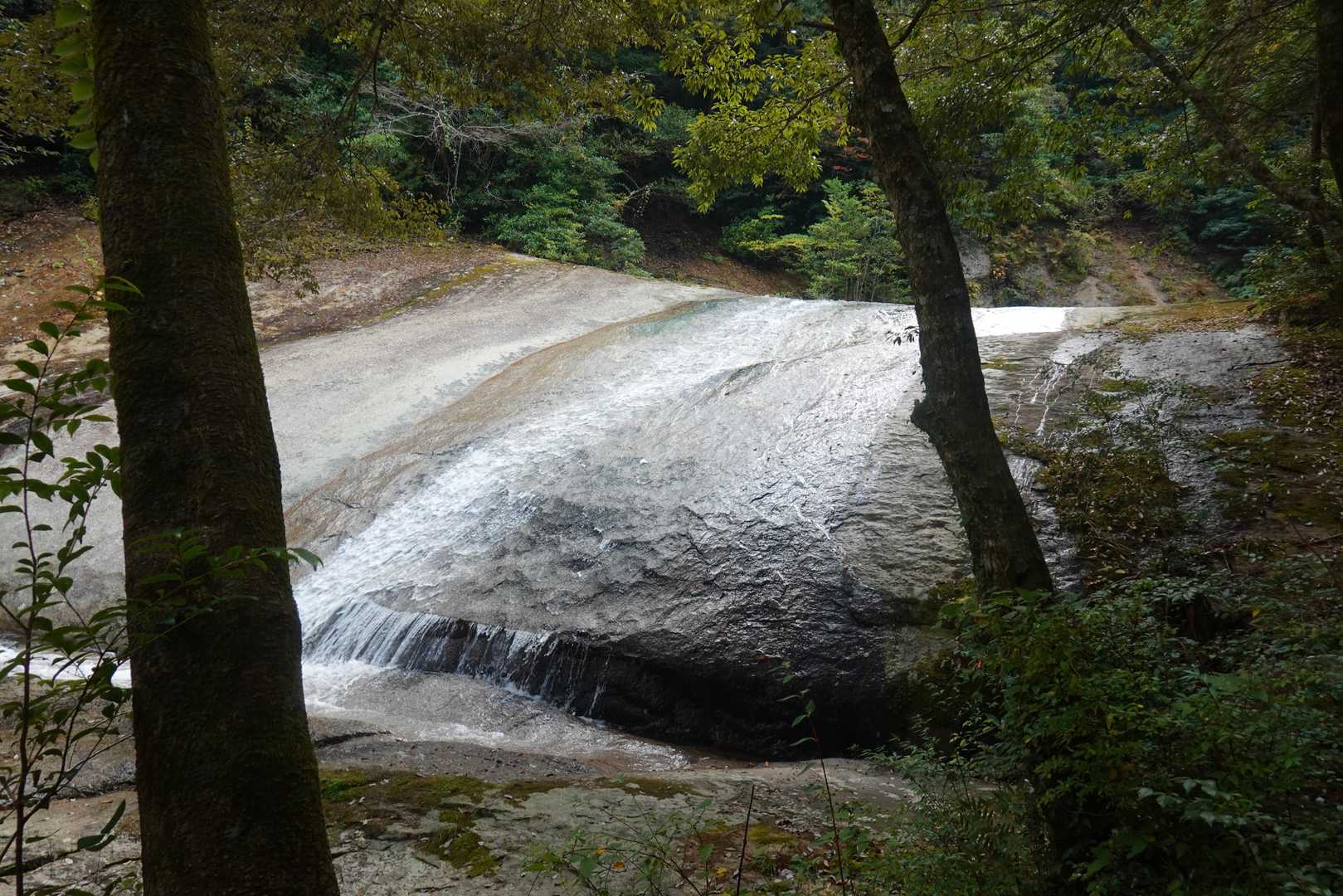 オシドリの滝
