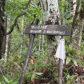 やっと山登れます
