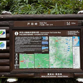 達磨山方面へ行ってみます。