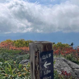 山人平へ。
2年前に行って気に入っている湿原