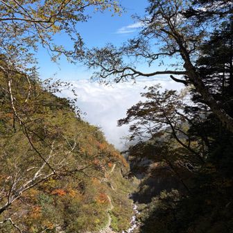 川沿いに向かって下山です