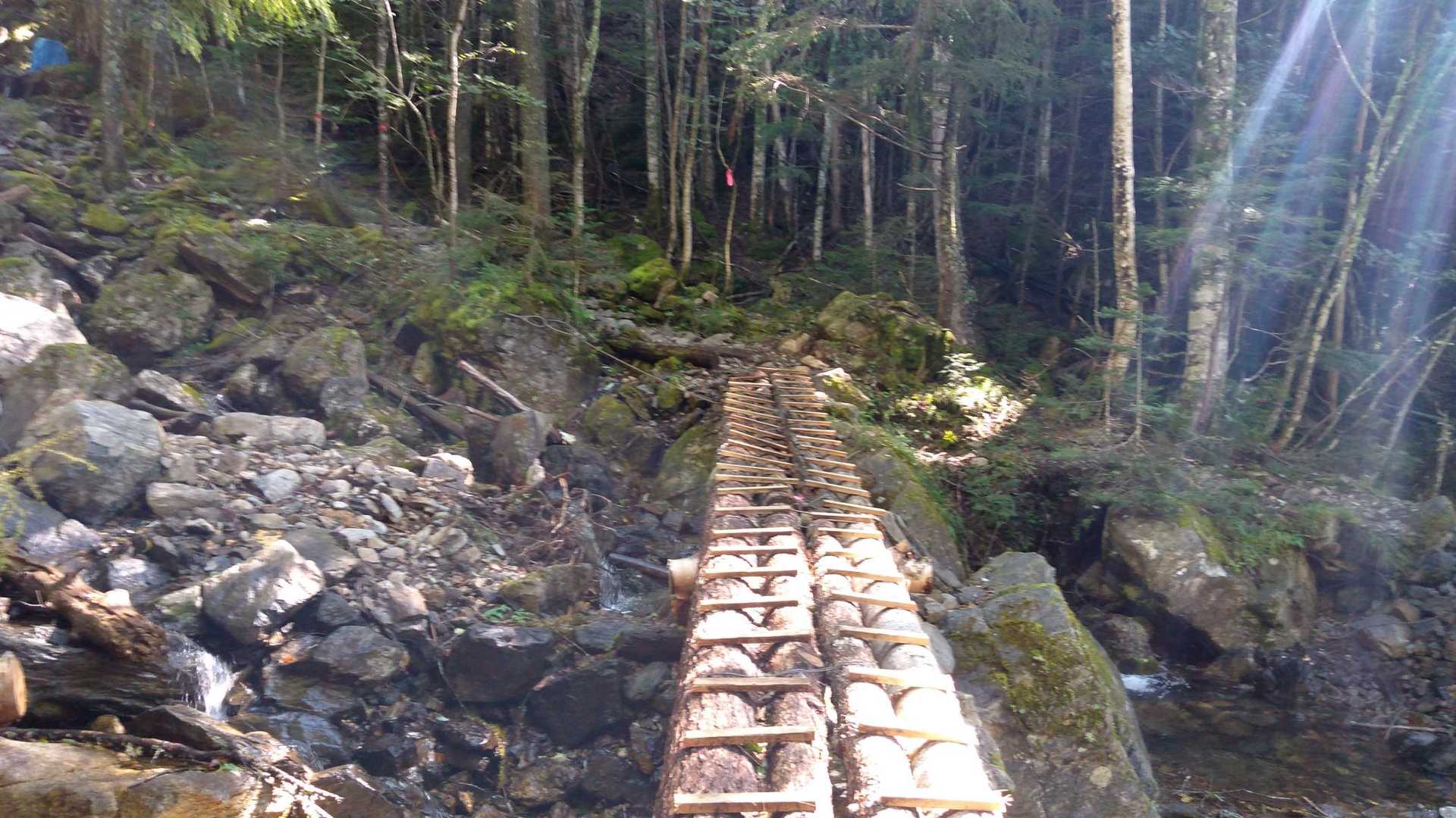 北沢峠-北沢峠バス停-栗沢山-仙水峠 周回コースの写真