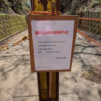 立ち入り禁止の看板。歩行者は大丈夫かな。