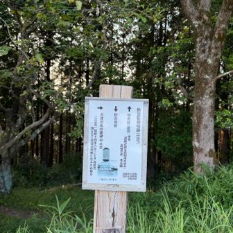 これか。ふむふむ🧐