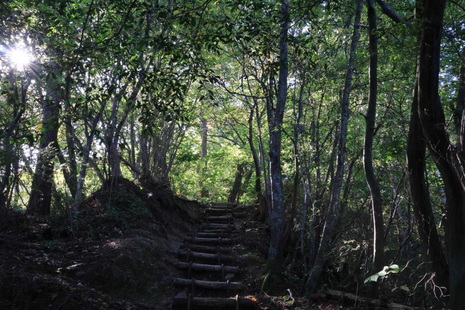 急坂の方から登ったけど
階段の洗礼を受ける🤣
昨日の天狗👺さんの筋肉痛が🤣