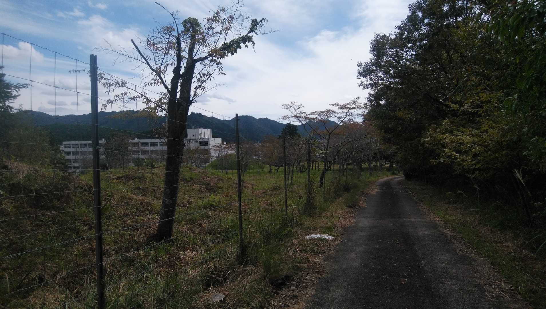 多可高