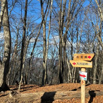 牛の寝通りを歩き通したい！