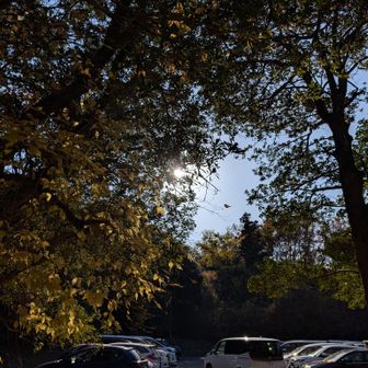 下山〜🙌
帰りもまだ満車🈵
人気の猪高緑地、スキマ時間にオススメです✨