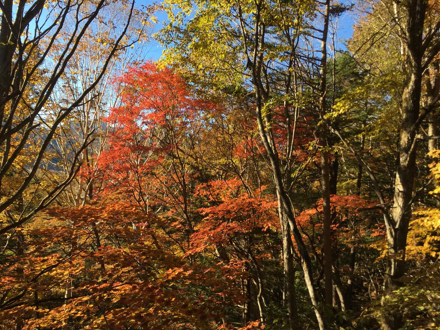 太郎山入口-太郎山登山口-山王帽子山-太郎山-梵字飯場跡 縦走コースの写真