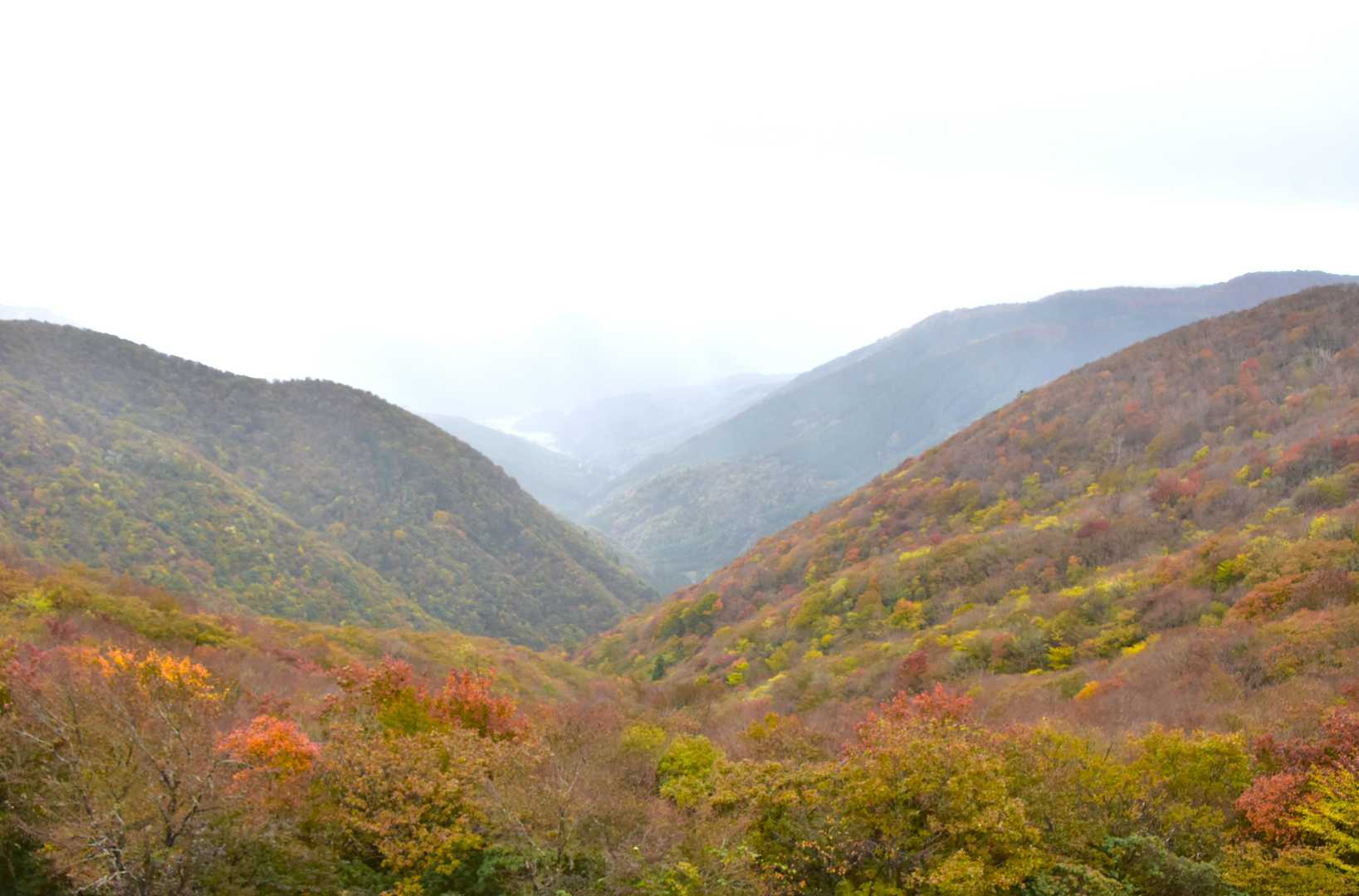 「天空の回廊」より倉谷を見る