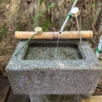 御手水の冷たいお水で少しだけクールダウン💦
ありがたやー
