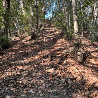 なかなか急登😅