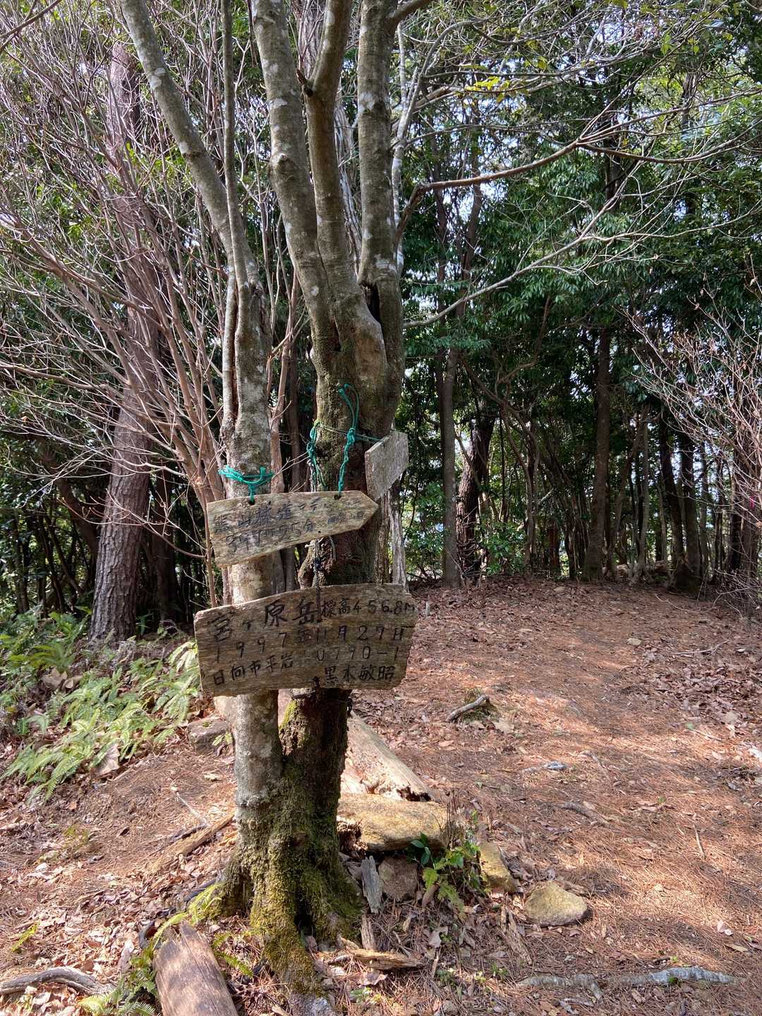 宮ヶ原岳、お初！