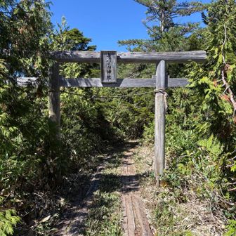 さて、裏志賀山に向かいます。
立派な鳥居⛩️