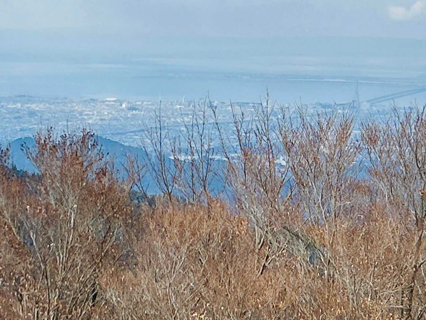 山のおもてなし｜和泉葛城山から犬鳴山へ紀泉高原縦走の写真
