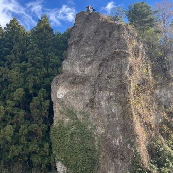 下から神社見たところ⛩️👆
スゴイところに建ってるよね！上で師匠手を振ってくれてるよ😁