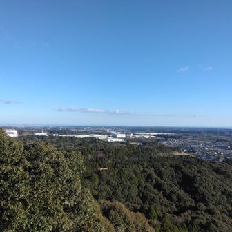 ここから星眺めたら気持ちよさそー。でも、実際は街の灯りで見えないのだろーなー。