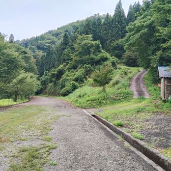 この坂も紛らわしい