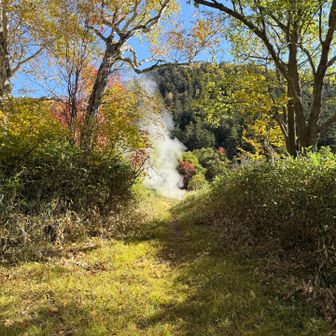 お天気☀️ ワクワクします🎶