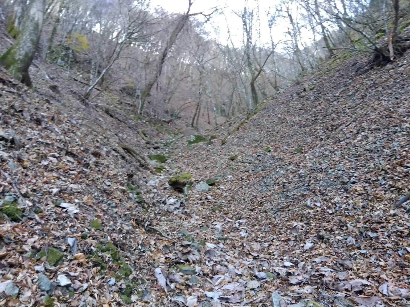 けっこう登る🚶‍♂
落葉と岩のいやらしいコンビで滑りやすいので慎重に歩きましょう💡