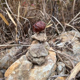 筆山にも寄ろうと思ったけど平日で工事👷？清掃🧹の方が何人もいらっしゃったのでやめました。