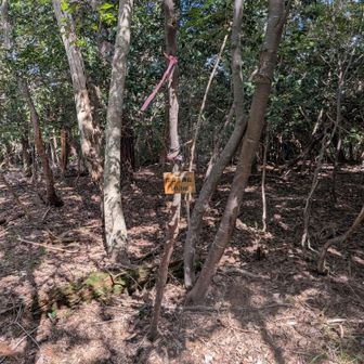 深山寺御山 山頂