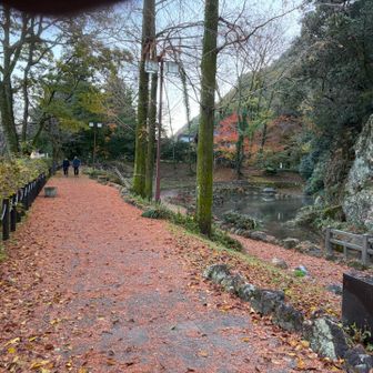 赤く染まった道