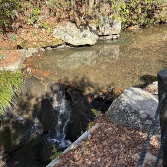 曽木公園　帰ってきた２
