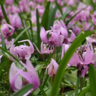 コタロー♬(〃∇〃)