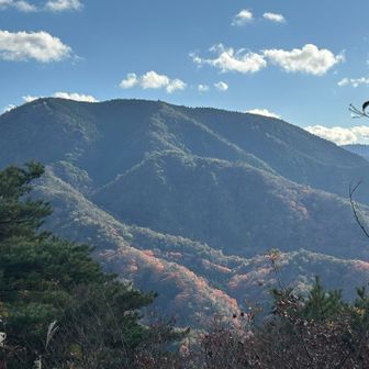 山頂部分がなだらかな逢ケ山がドーン！と見えます