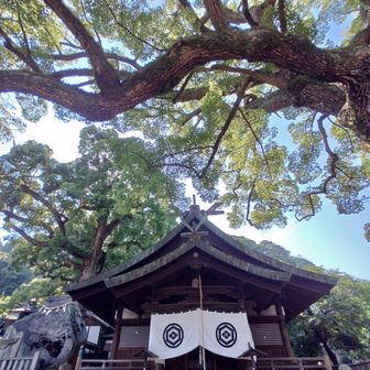 とても清々しい空間でした✨