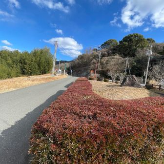 下山してまた佐波川へ…