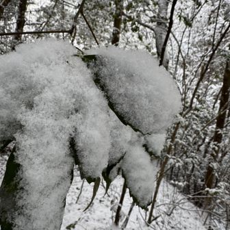 楽しすぎて、写真📸撮ってばかりで進まない😅