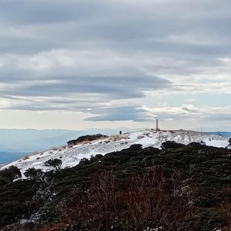 山頂鳥居がよくわかります。さあ山頂へ。