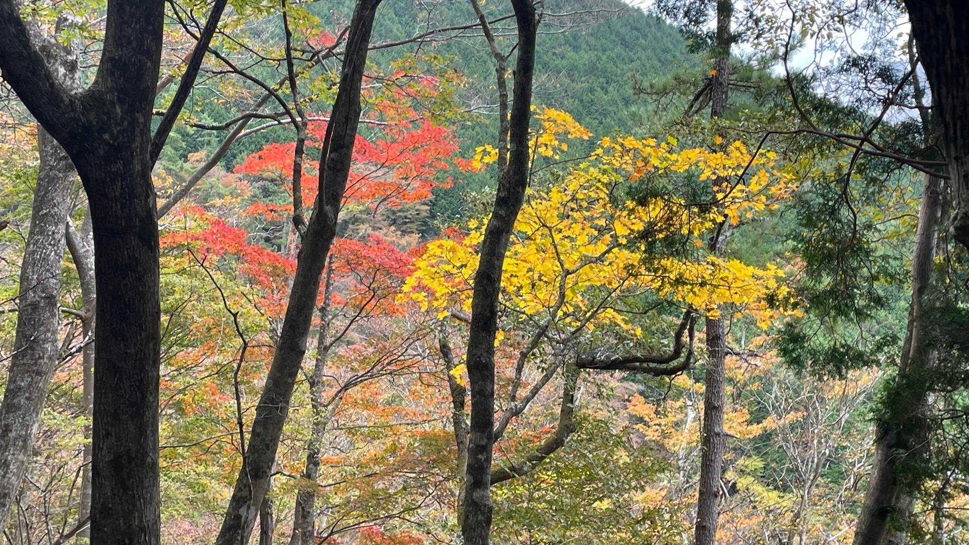 堀山の家直下