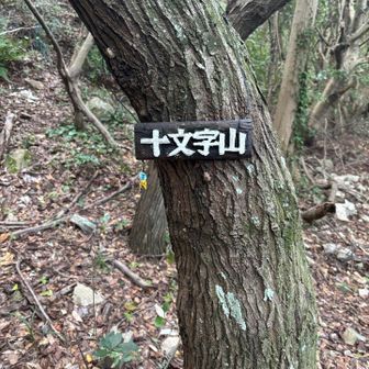 このプレートの後ろがこんもり高くなってるのですが、山頂はここで合ってるのかな🙄
人気の無い理由わかりました🤣