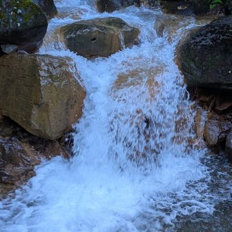 水量すごい！！💦