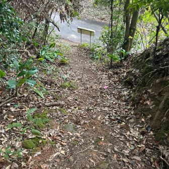 車岳林道登山に着いた